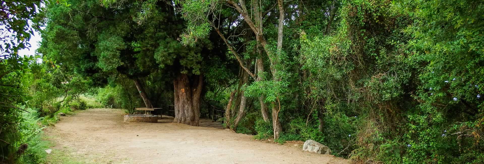 Baviaanskloof Campsite